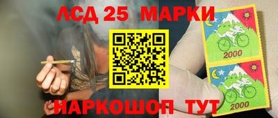 прущие грибы Малоярославец