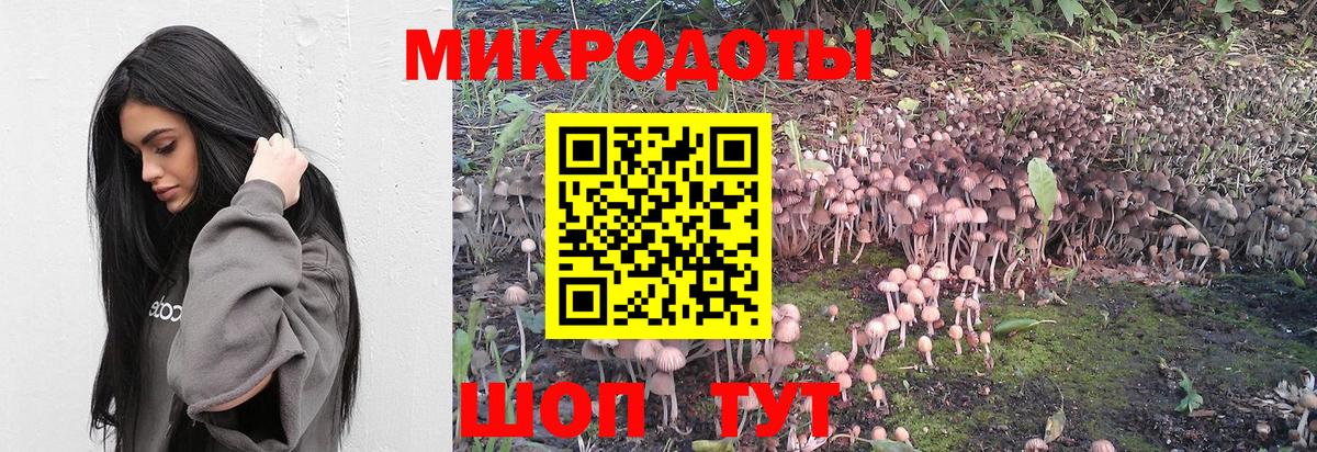 Гатчина  Галлюциногенные грибы MAGIC MUSHROOMS  Вход с VPN 
